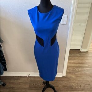 Bailey 44 Beautiful Blue Dress!